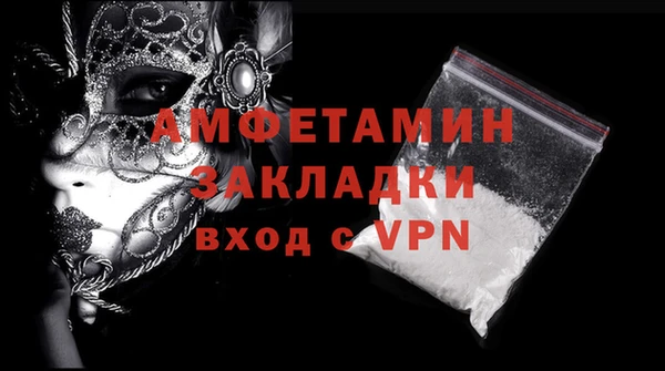 твердый Дмитровск