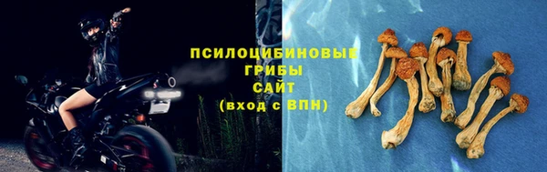 твердый Дмитровск