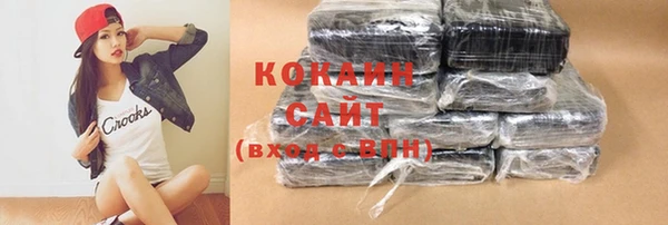 твердый Дмитриев