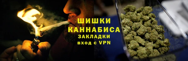твердый Дмитровск