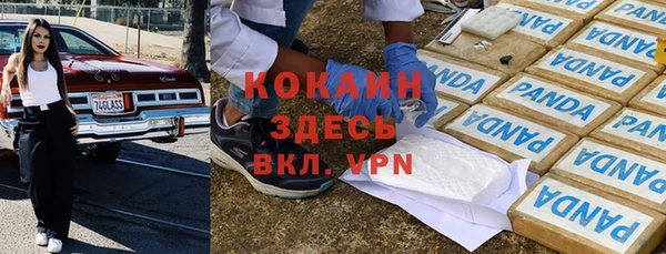 прущий лед Ельня