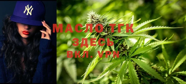 твердый Дмитриев