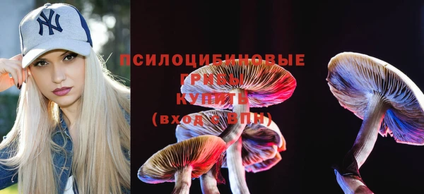 не бодяженный Дмитров