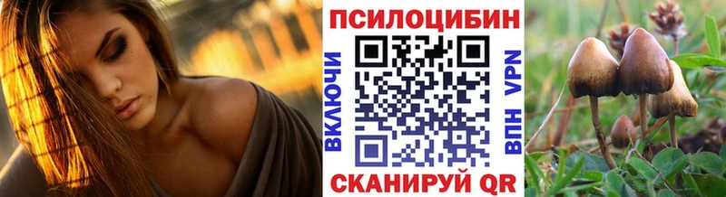 Галлюциногенные грибы ЛСД  Купить где  Малгобек 